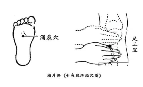 五脏养生有“搭档”，一起保健效果更好！