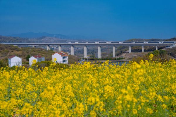 杭台高铁一季度客运量超235万人次 杭台高铁一季度客运量超235万人次