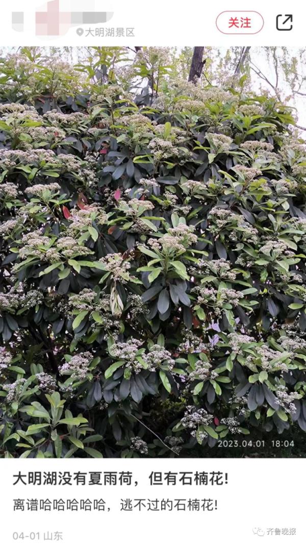 连上5个热搜！这股"不可描述"的味道又火了