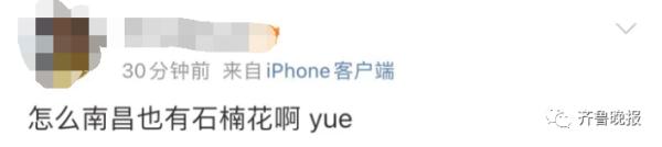 连上5个热搜！这股"不可描述"的味道又火了