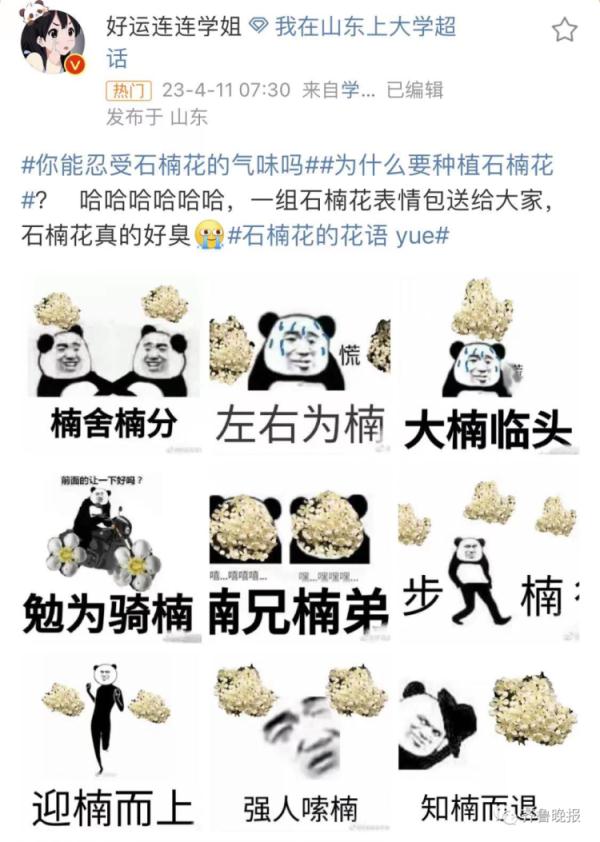 连上5个热搜！这股"不可描述"的味道又火了