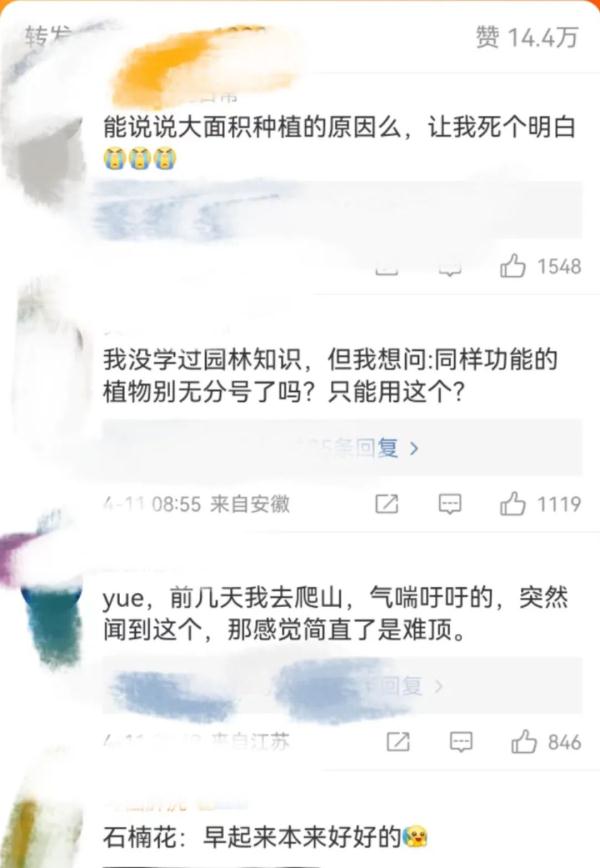 石楠花被“骂”上了热搜！