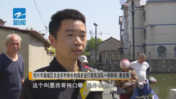 威风凛凛！浙江一地惊现头上长角的神秘物种，专家提醒…