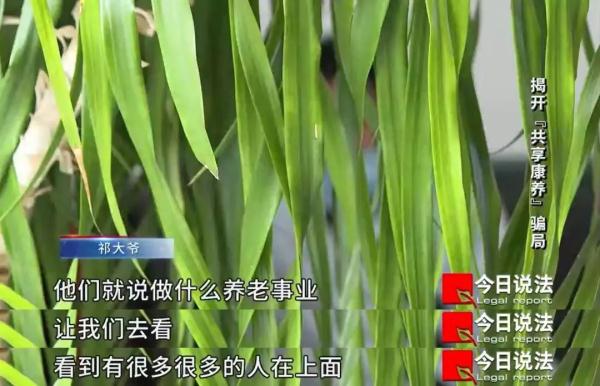 受害老人被这个“养老投资项目”榨干毕生积蓄，1400多人被骗，涉案金额2000多万元……