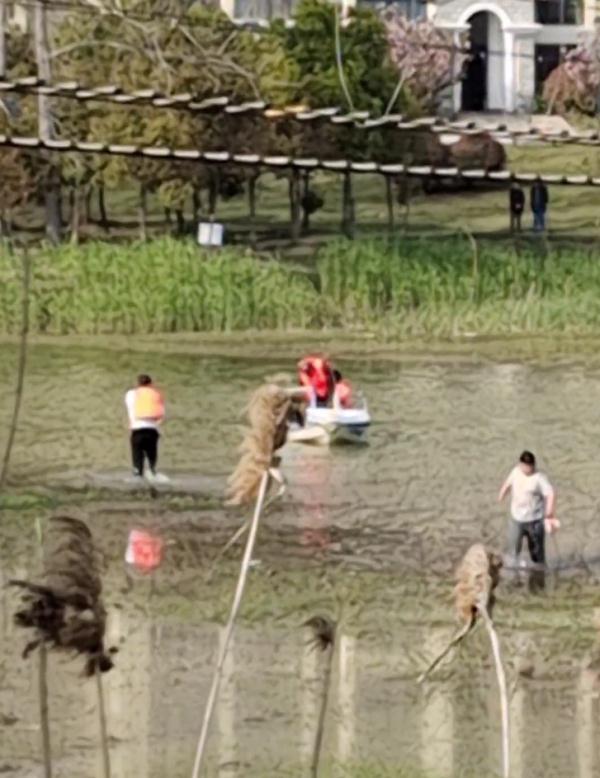 男孩景区意外落水，父亲救子时溺亡…官方最新回应→