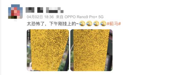 广东街坊注意！最近出街尽量别穿这两种颜色的衣服