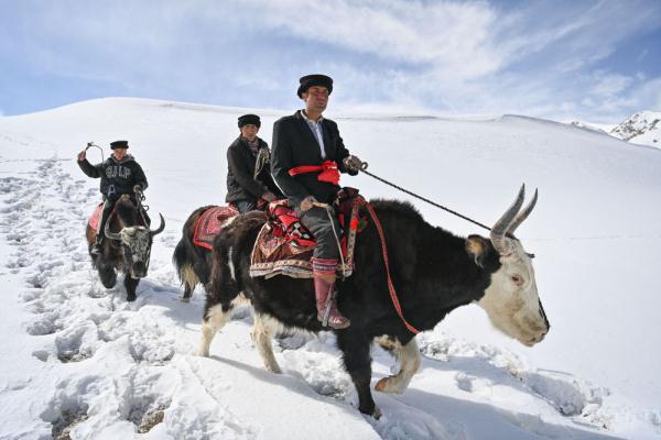 悦动天山:帕米尔高原上的牦牛骑士 悦动天山:帕米尔高原上的牦牛骑士