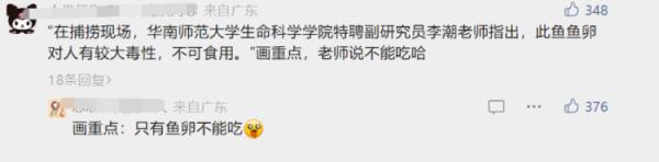 它又出现了！高校紧急围捕“鳄雀鳝”，能吃吗？