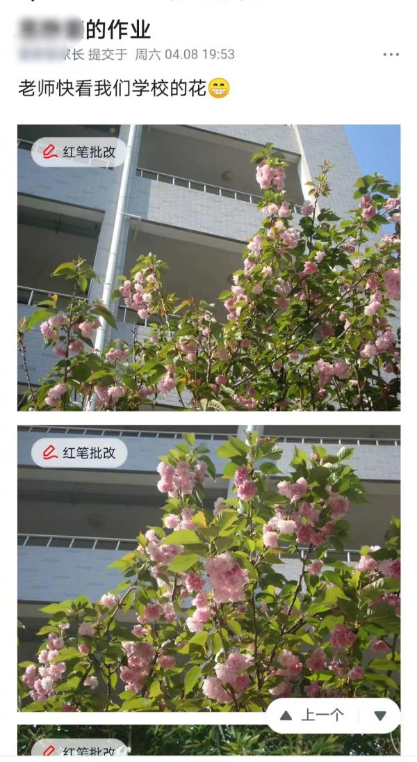 老师误将作业布置给上届毕业学生，没想到……