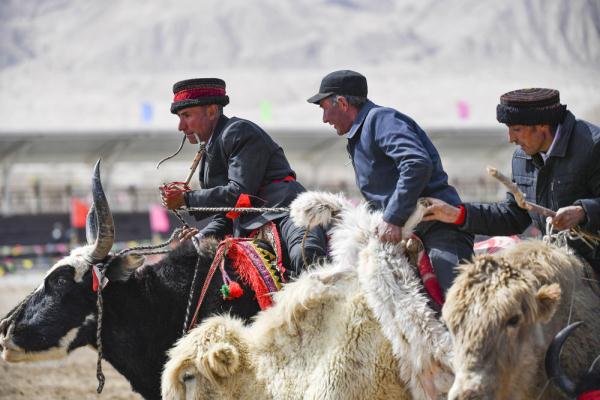 悦动天山:帕米尔高原上的牦牛骑士 悦动天山:帕米尔高原上的牦牛骑士