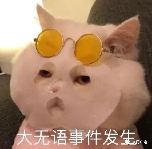 注意！厦门今天有变化！有台风或将24小时内生成！接下来……