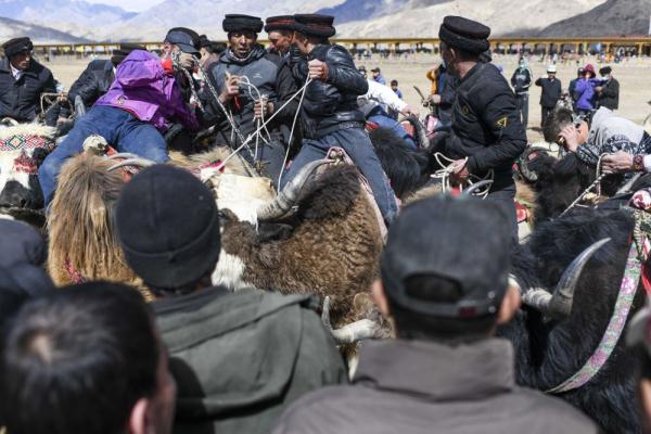 悦动天山:帕米尔高原上的牦牛骑士 悦动天山:帕米尔高原上的牦牛骑士