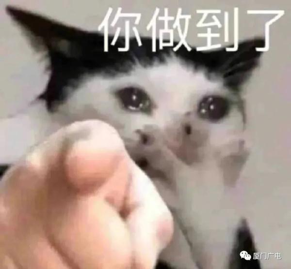 注意！厦门今天有变化！有台风或将24小时内生成！接下来……