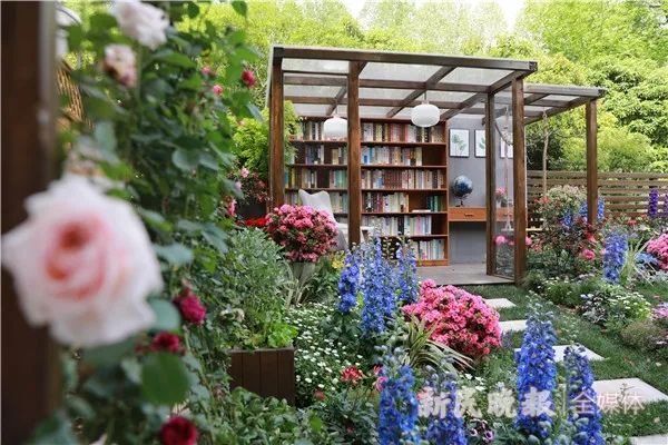 上海(国际)花展开幕,今年有哪些看点? 上海(国际)花展开幕,今年有哪些看点?