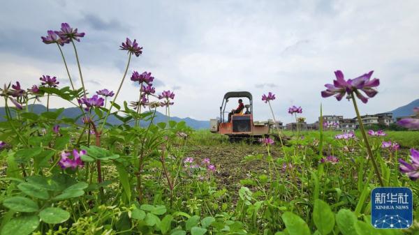 科技特派员助春耕