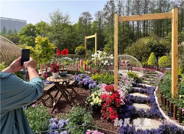 上海(国际)花展开幕,今年有哪些看点? 上海(国际)花展开幕,今年有哪些看点?