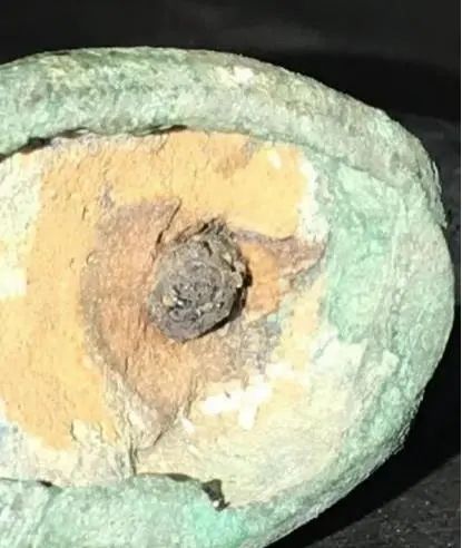 马踏飞燕→铜奔马，这件文物为何改名？