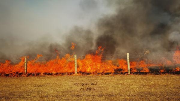 草原大火逼近我国边境！内蒙古连夜扑救堵截