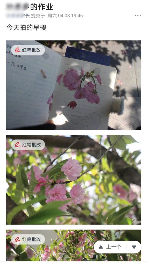 老师误将作业布置给上届毕业学生，没想到……