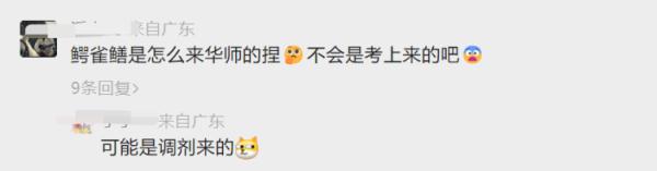 它又出现了！高校紧急围捕“鳄雀鳝”，能吃吗？