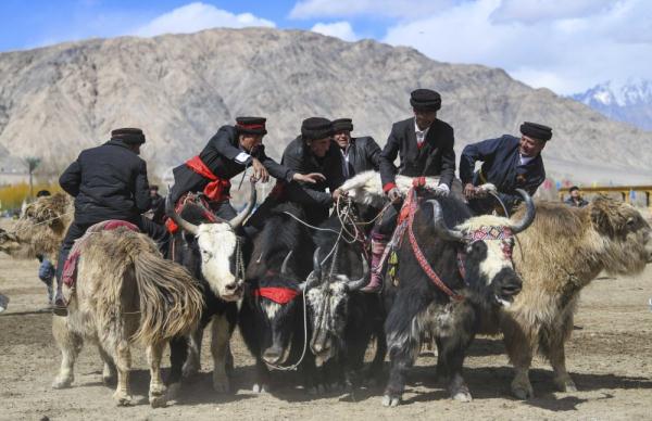 悦动天山:帕米尔高原上的牦牛骑士 悦动天山:帕米尔高原上的牦牛骑士