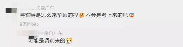 鳄雀鳝入侵！广州一高校紧急捕捞！