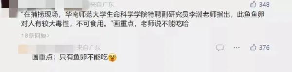 鳄雀鳝入侵！广州一高校紧急捕捞！