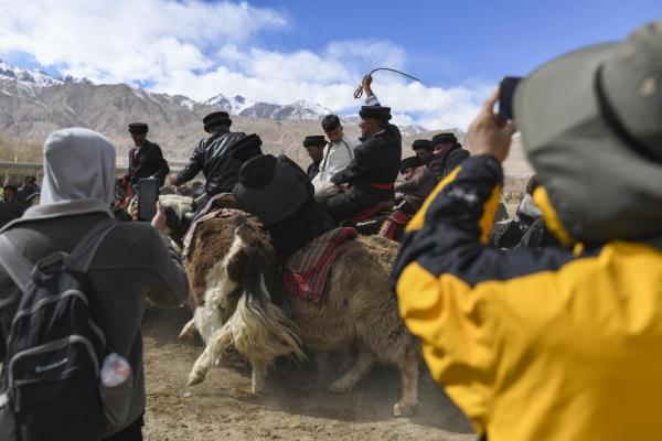 悦动天山:帕米尔高原上的牦牛骑士 悦动天山:帕米尔高原上的牦牛骑士