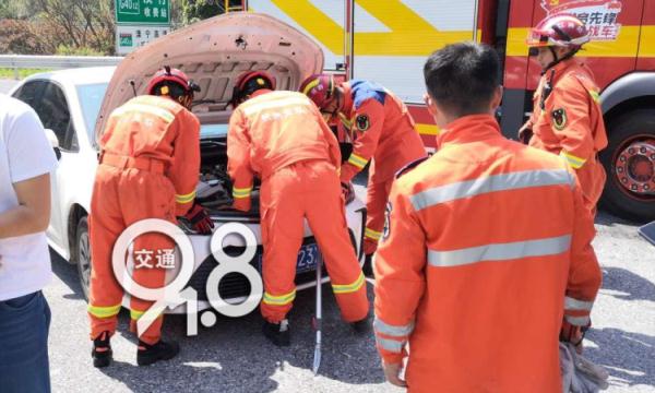 杭州一女司机开车途中发现车上有条蛇，正从引擎盖上探出头来