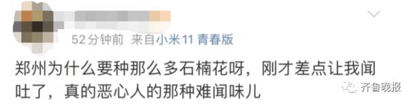 “臭”上热搜！这种花不好闻，为啥还要种？