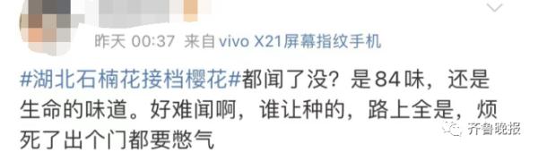 “臭”上热搜！这种花不好闻，为啥还要种？