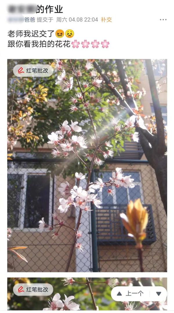 老师误将作业布置给上届毕业学生，没想到……