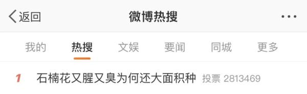 石楠花“臭”上热搜!气味一言“楠”尽,为啥还大面积种?专家释疑 石楠花“臭”上热搜!气味一言“楠”尽,为啥还大面积种?专家释疑