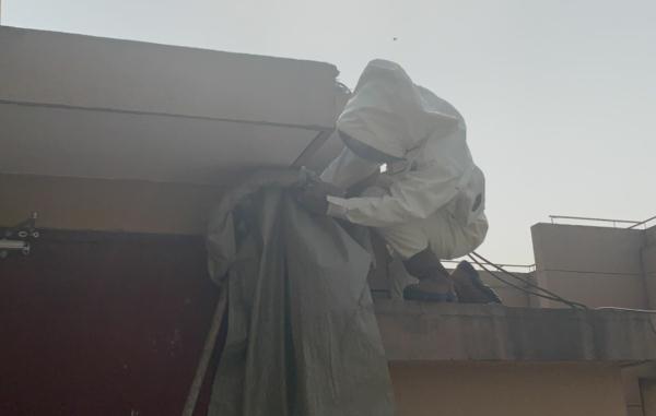 去阳台晒衣服，开门后吓一大跳！高峰期来了，还会越来越多