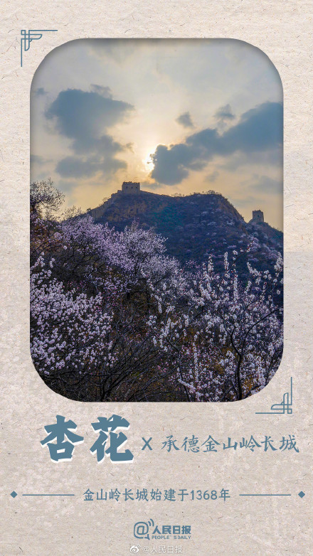 收藏！春花就要配上中国传统古建才绝美啊