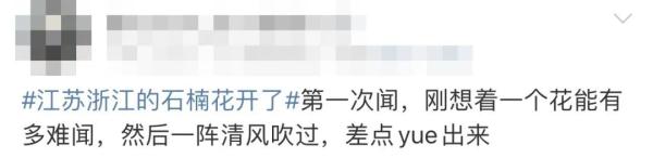 “臭”上热搜！这些“臭臭花”南宁也有！