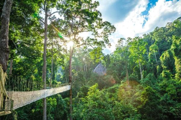 中老铁路首趟国际旅客列车发车，跨境列车购票时要注意这些！