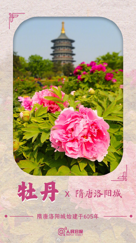 收藏！春花就要配上中国传统古建才绝美啊