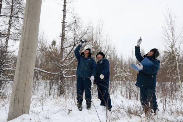 漠河暴雪积雪深达16厘米 漠河暴雪积雪深达16厘米