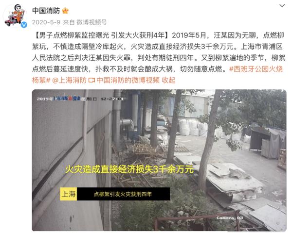 大学生点柳絮被举报，后续来了......