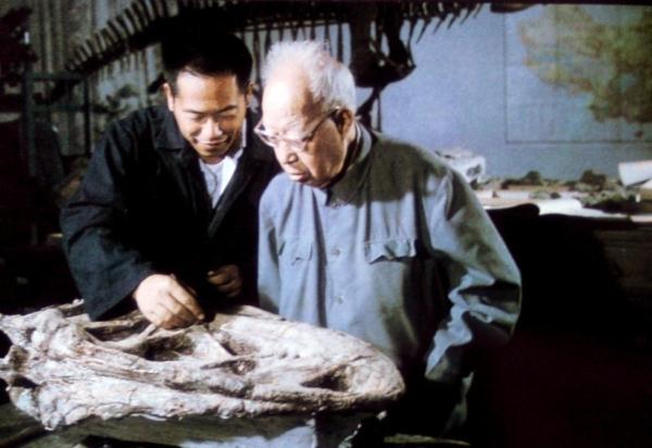 真•中国龙,云南确认两个中国龙属新物种 真•中国龙,云南确认两个中国龙属新物种