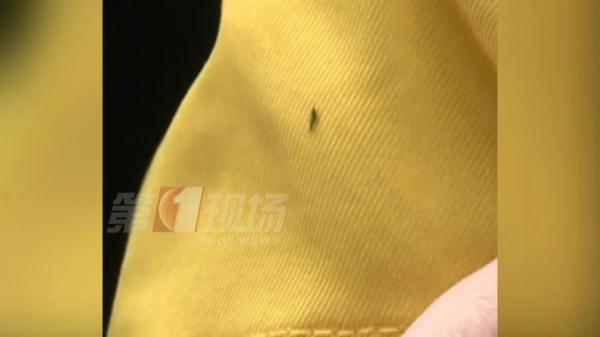 注意！升温后天降黑色“小虫雨”，深圳人出门该怎么穿？