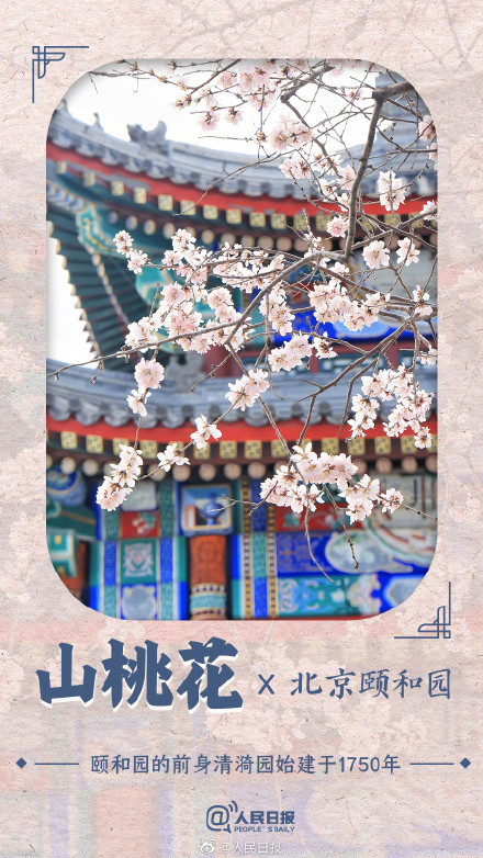收藏！春花就要配上中国传统古建才绝美啊
