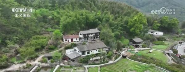 “春游经济”迎高峰 游客沉浸式畅游山水 乡村游持续升温