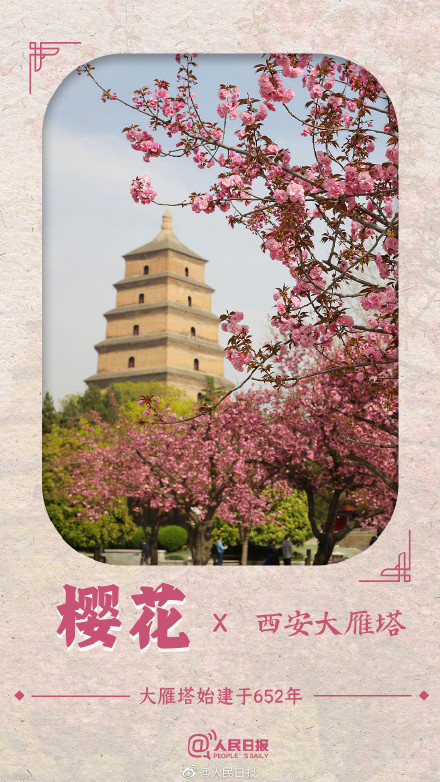 收藏！春花就要配上中国传统古建才绝美啊