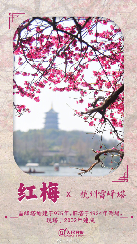 收藏！春花就要配上中国传统古建才绝美啊