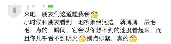 大学生点柳絮被举报，后续来了......