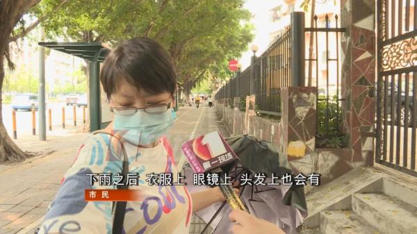 注意！升温后天降黑色“小虫雨”，深圳人出门该怎么穿？