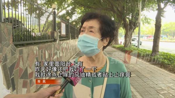 注意！升温后天降黑色“小虫雨”，深圳人出门该怎么穿？