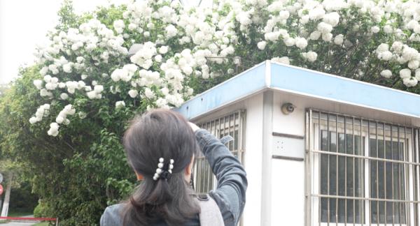 上海一闲置治安亭竟被网红攀爬拍照?最新消息:即将拆除! 上海一闲置治安亭竟被网红攀爬拍照?最新消息:即将拆除!